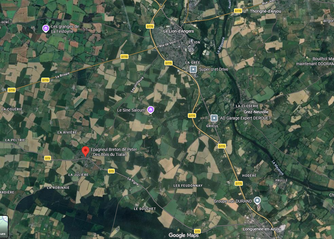 Plan - Des Bois Du Tialan Des Bois Du Tialan